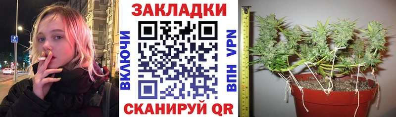 Где продают наркотики Пыталово ГАШИШ  ТГК  Мефедрон  Марихуана  Псилоцибиновые грибы  КОКАИН  СОЛЬ 