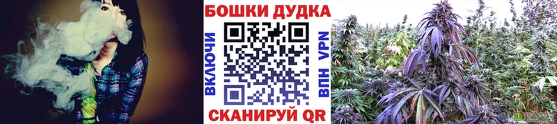 Каннабис конопля Пыталово