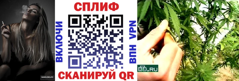 Конопля Bruce Banner  Пыталово 